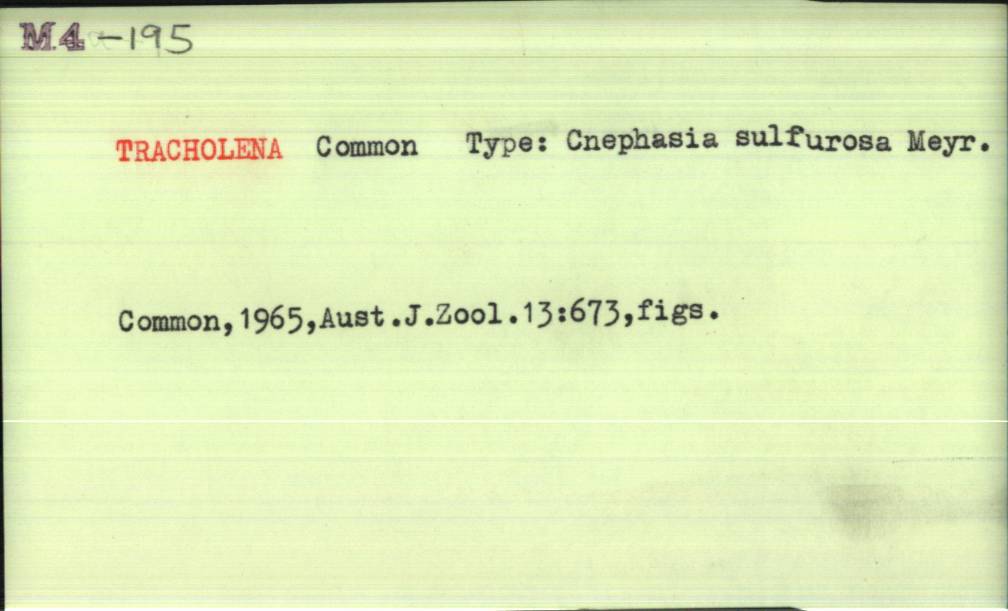 front of card